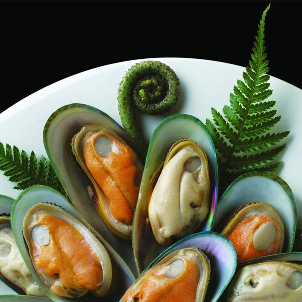 PUCO Halbschalige grüne Muscheln 30/40