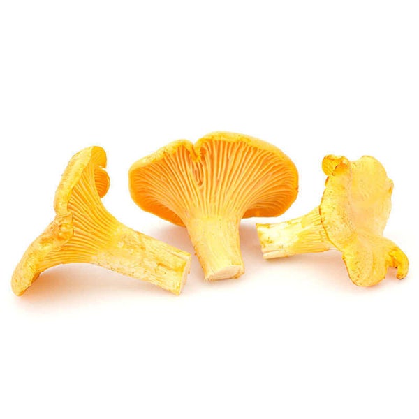 STAHL Pfifferlinge blanchiert mittel 5 x 1 kg