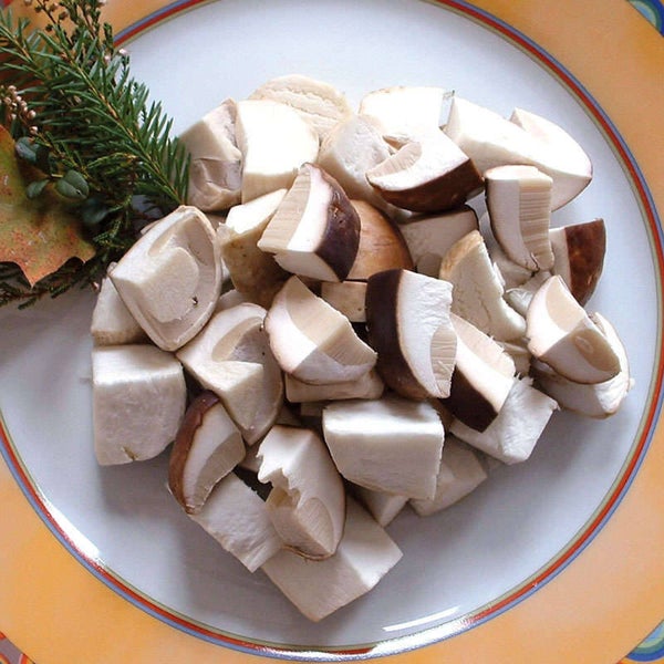 STAHL Steinpilze geschnitten 1 kg