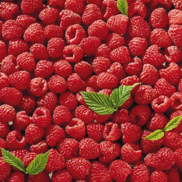 MELZER Himbeeren 2,5 kg