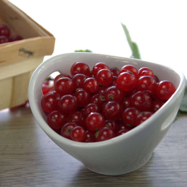 MELZER Johannisbeeren rot 2,5 kg