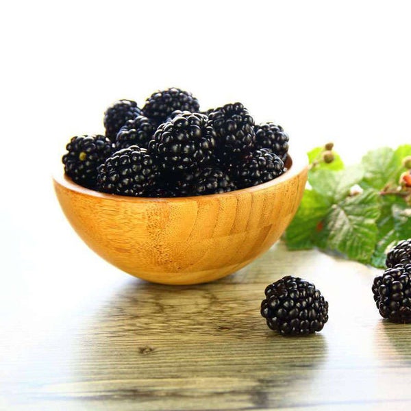 MELZER Brombeeren 2,5 kg