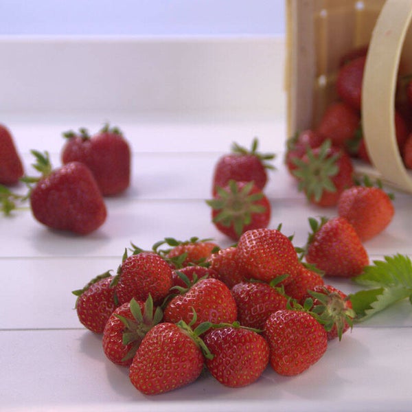 MELZER Erdbeeren 2,5 kg