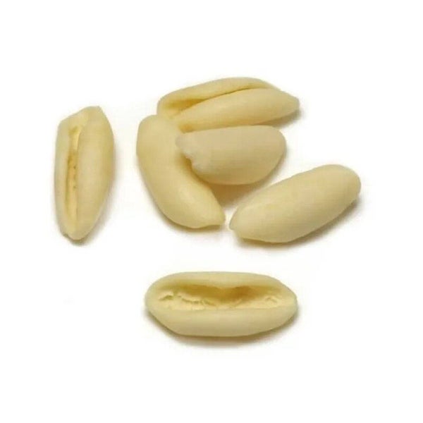 GIONA SAMUELE Cavatelli 12 x 500 g