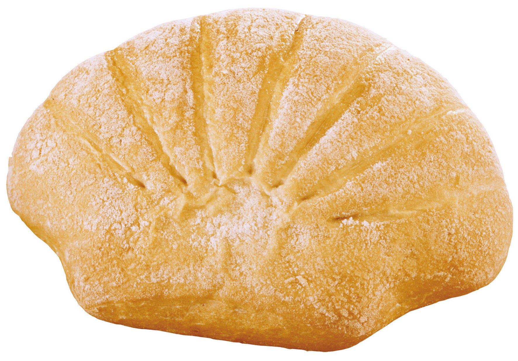 Muschelbrötchen hell