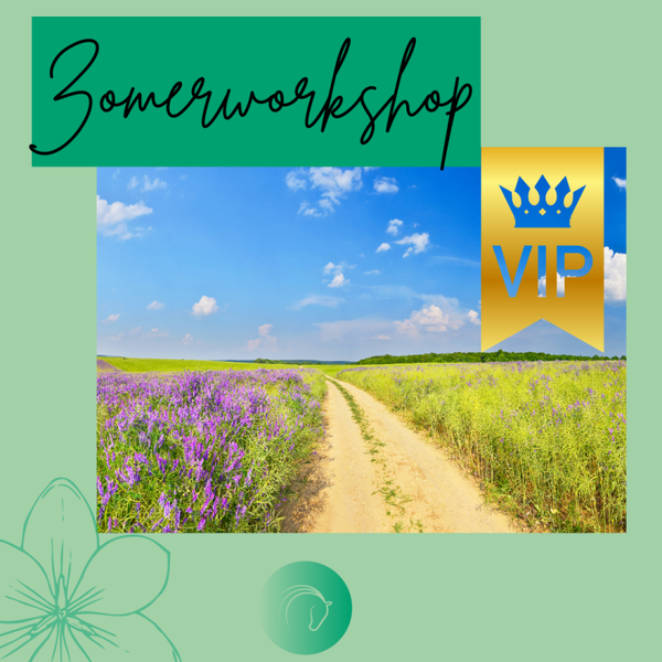Zomerworkshop VIP - 30/6 + 4 woensdagavonden