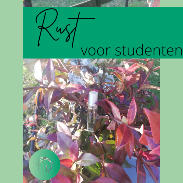 Roller voor meer RUST