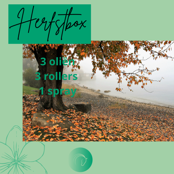 Herfstbox - lichaam en geest ondersteunen in de herfst