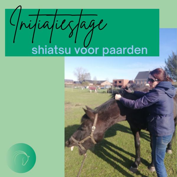 Initatiestage shiatsu voor paarden -  23 en 24 maart 2024