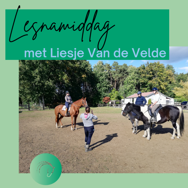 Lesnamiddag grondwerk en natural horsemanship