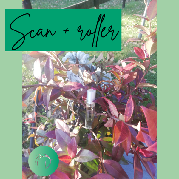 Scan + roller op maat