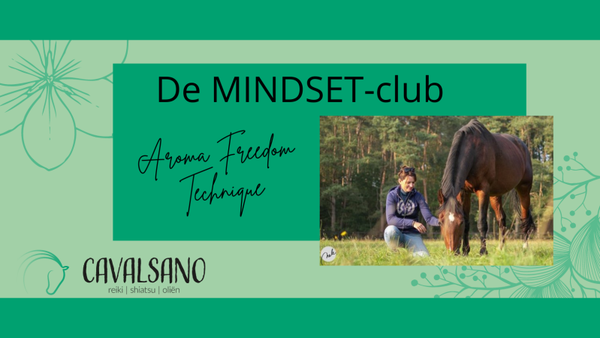 6 maanden + video's Aroma Reset en AFT-sessie + individuele sessie 90 minuten