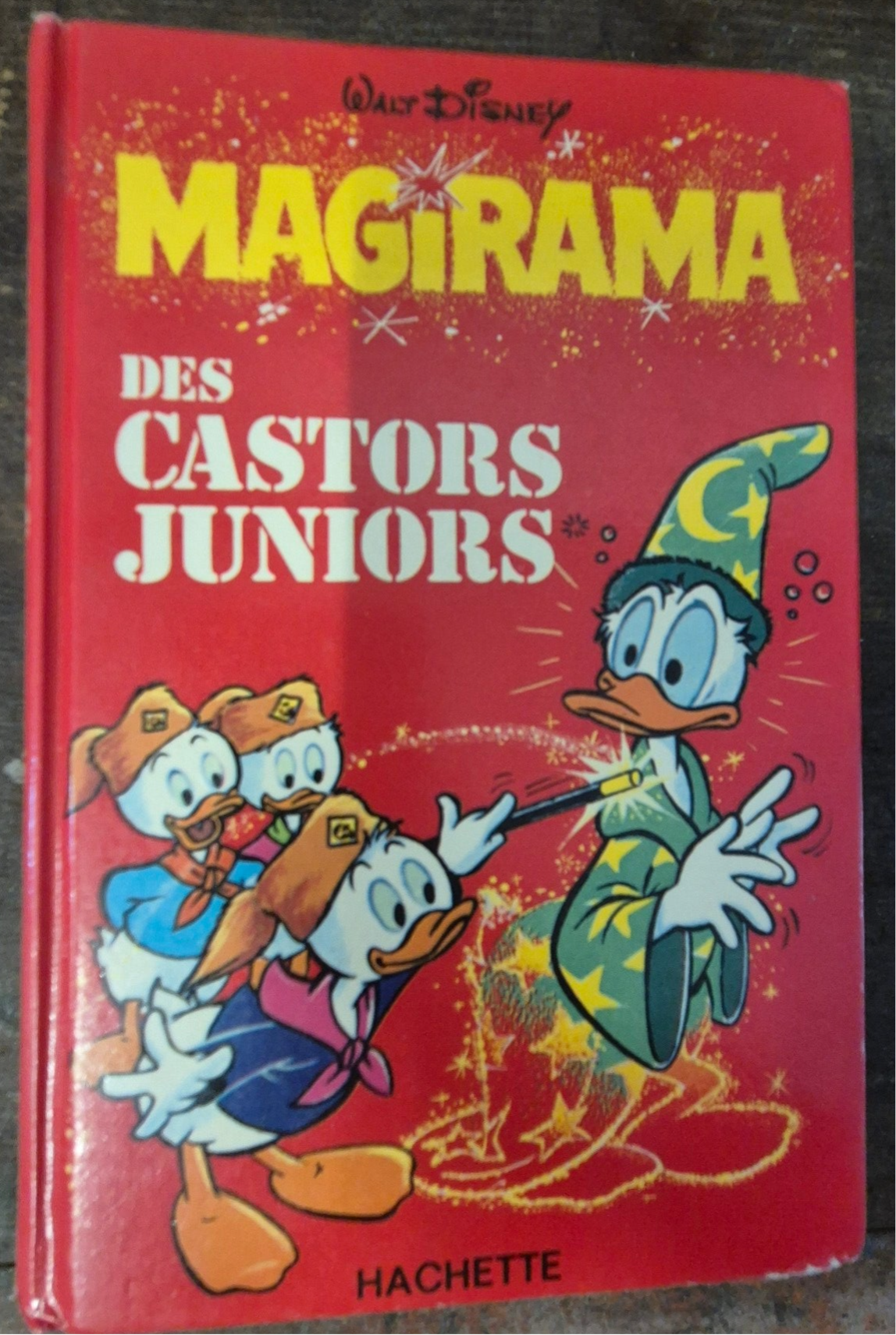 Livre Disney Magirama