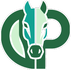 DP Horse Connections
