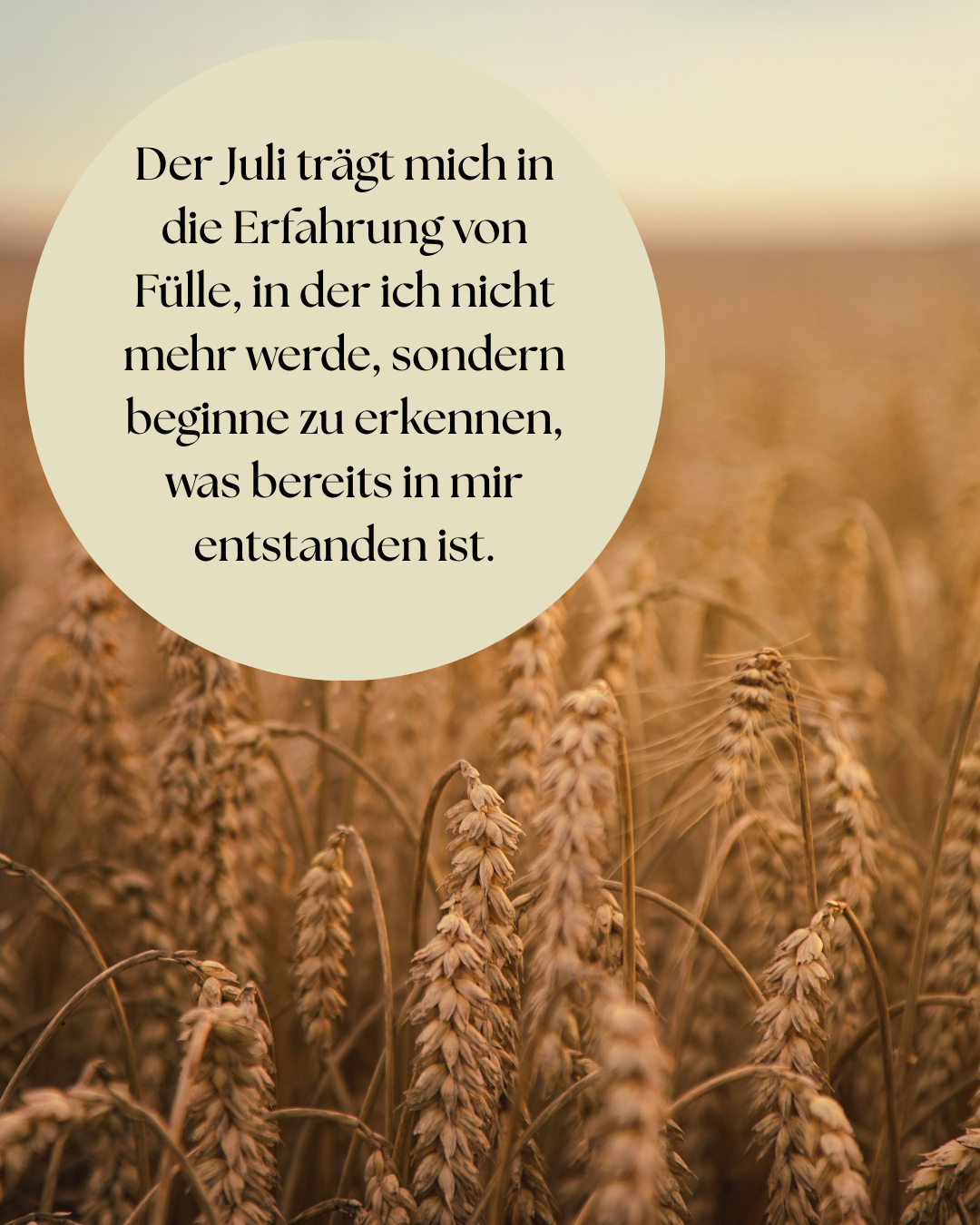 „Monatsaffirmation Mai – Pflanzenflüstern