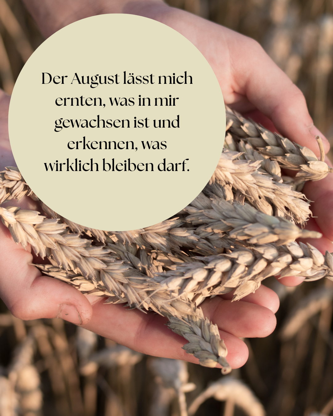 „Monatsaffirmation Mai – Pflanzenflüstern