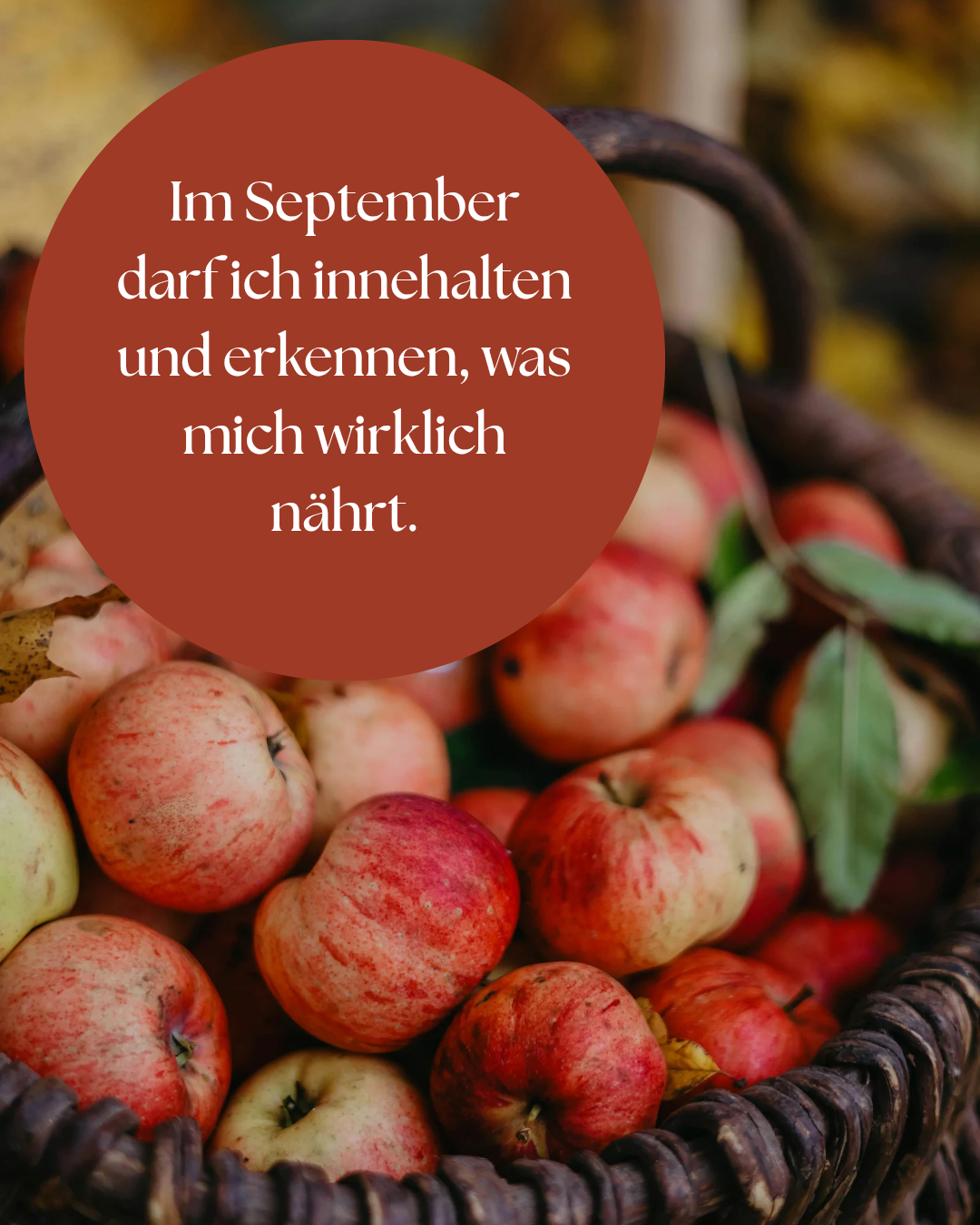 „Monatsaffirmation Mai – Pflanzenflüstern