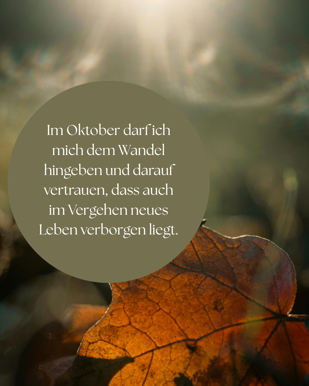 „Monatsaffirmation Mai – Pflanzenflüstern