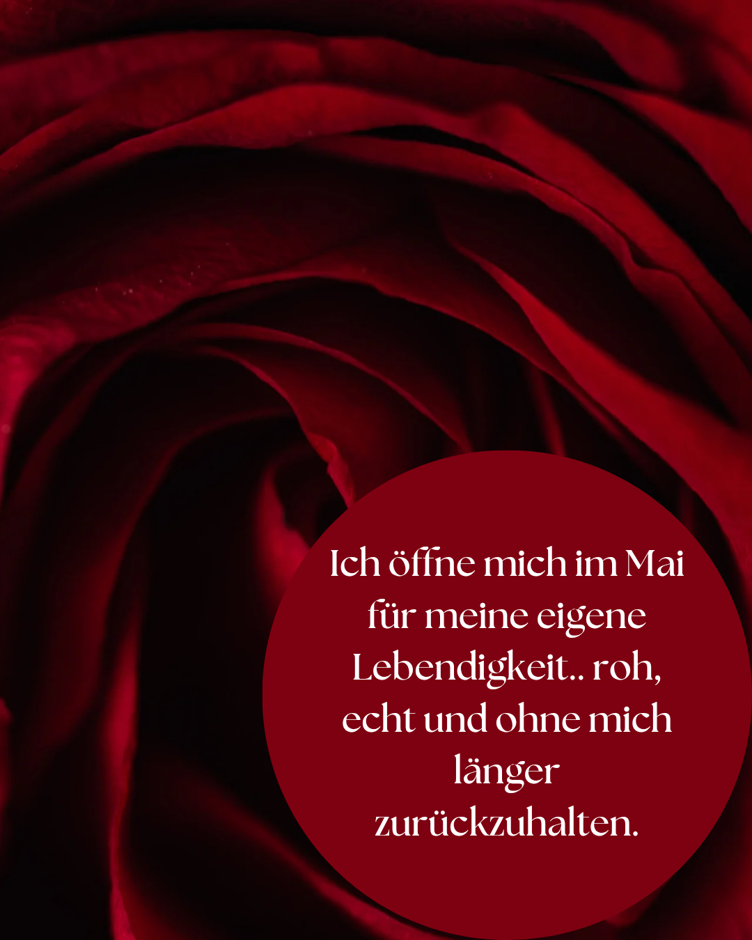 „Monatsaffirmation Mai – Pflanzenflüstern