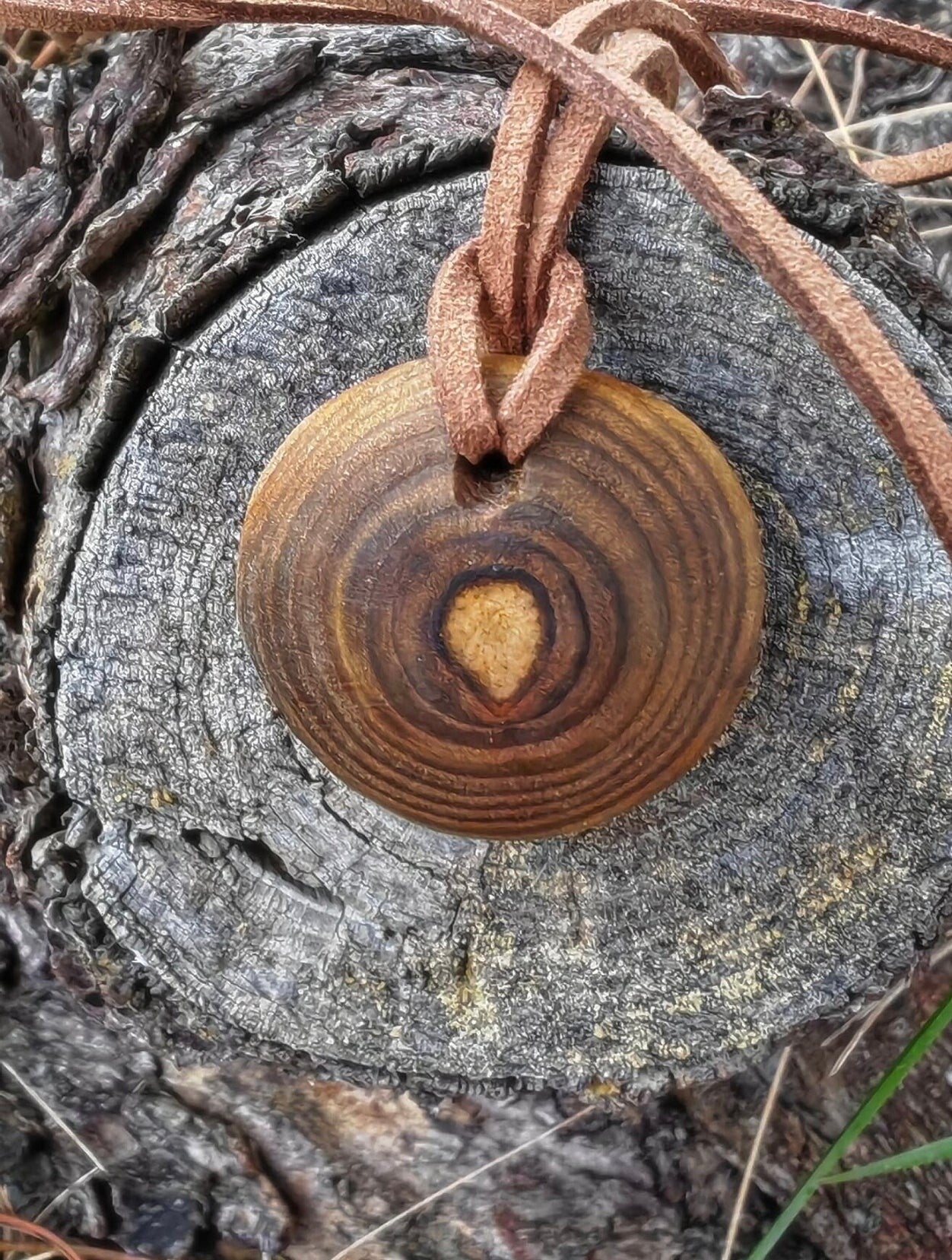 AUS WURZEL & HOLZ