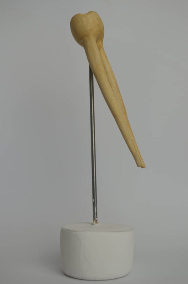 ZAHN .1