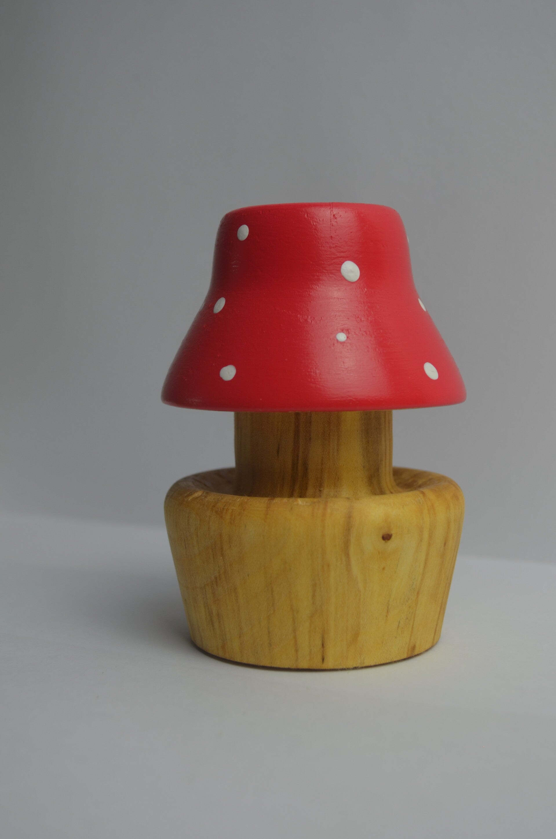 Fliegenpilz