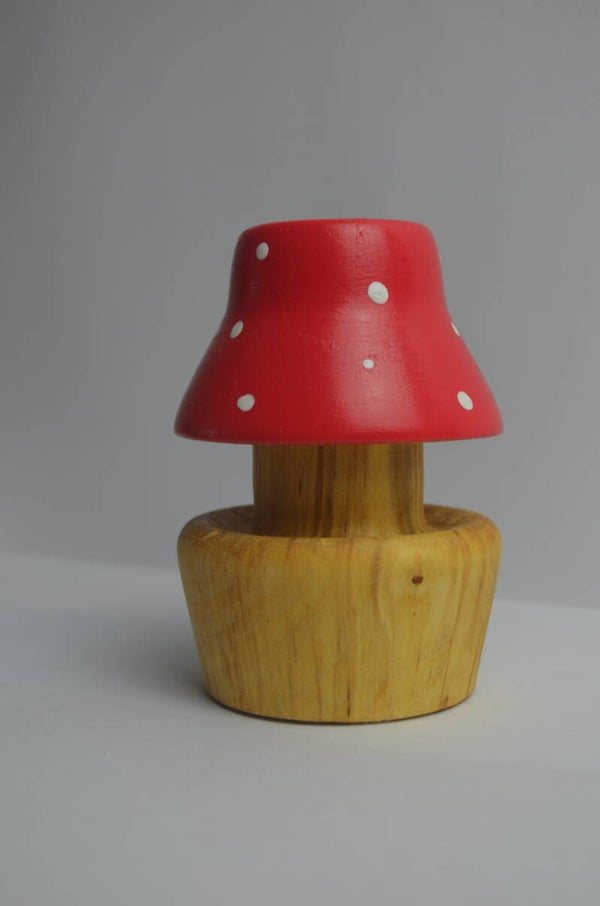 Fliegenpilz