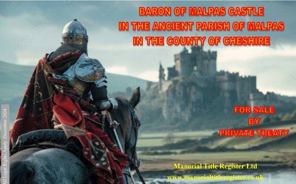 Barony of Malpas Castle