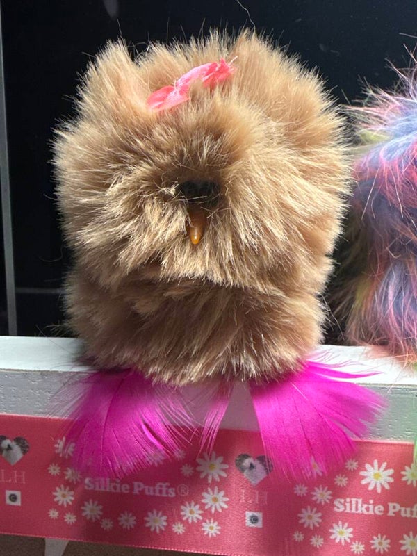 Silkie