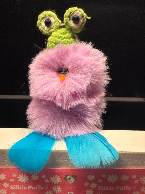 Silkie w/Knitted Hats