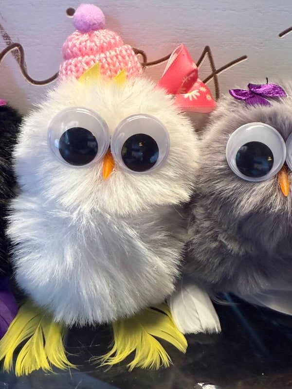 Silkie Owls