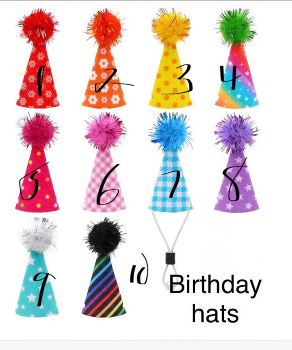 Hat Selection/Sports/Personalization/Special Requests