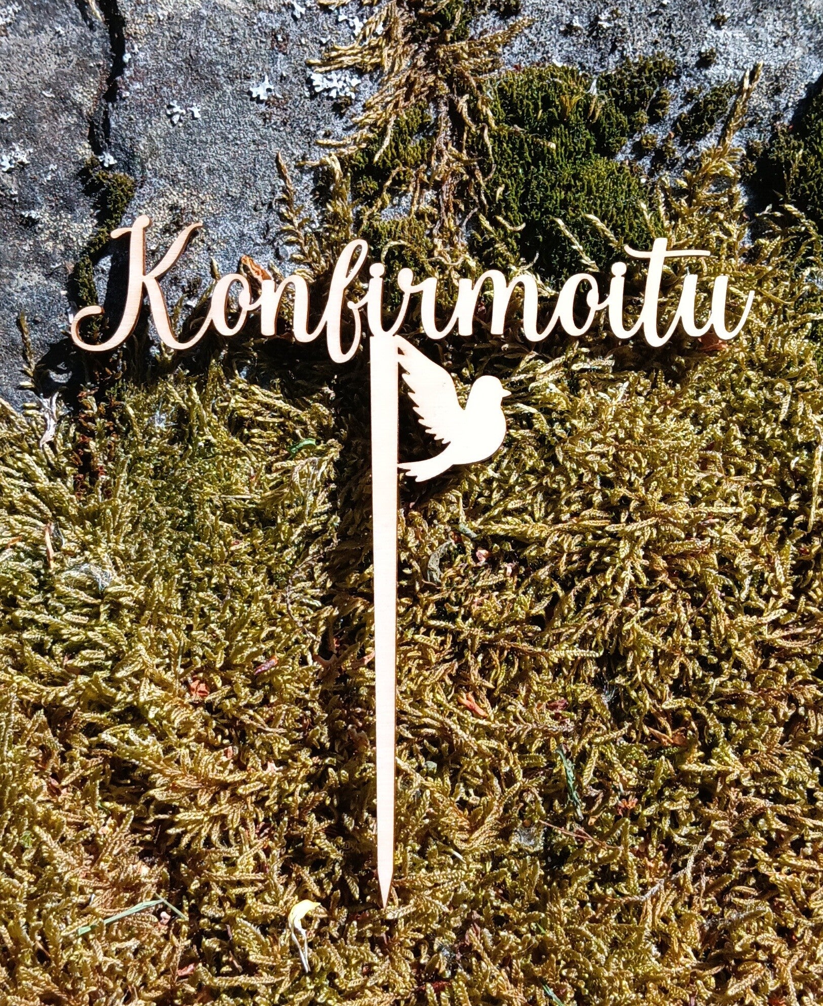 Kakkukoriste konfirmoitu kyyhky