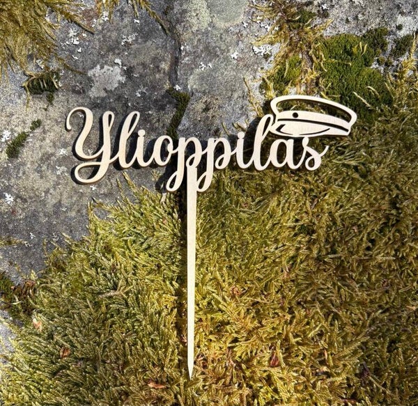 Ylioppilaslakki kakkukoriste  nimellä