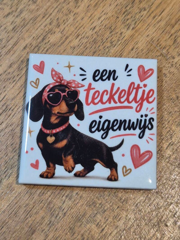 Magneet tegel | een teckeltje eigenwijs
