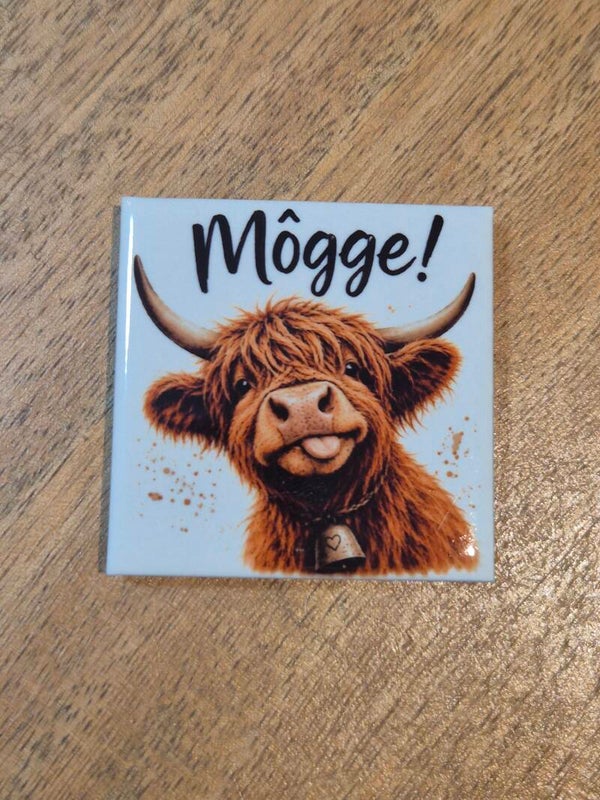 Magneet tegel | hooglander Mogge!