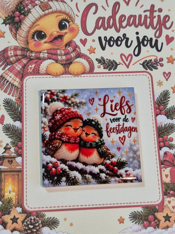 Magneet tegel | Liefs voor de feestdagen roodborstje