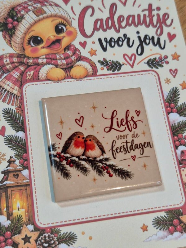 Magneet tegel | Liefs voor de feestdagen roodborstje