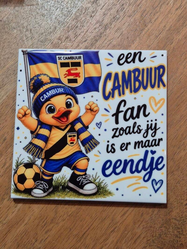 Tegel | Cambuur fan eendje