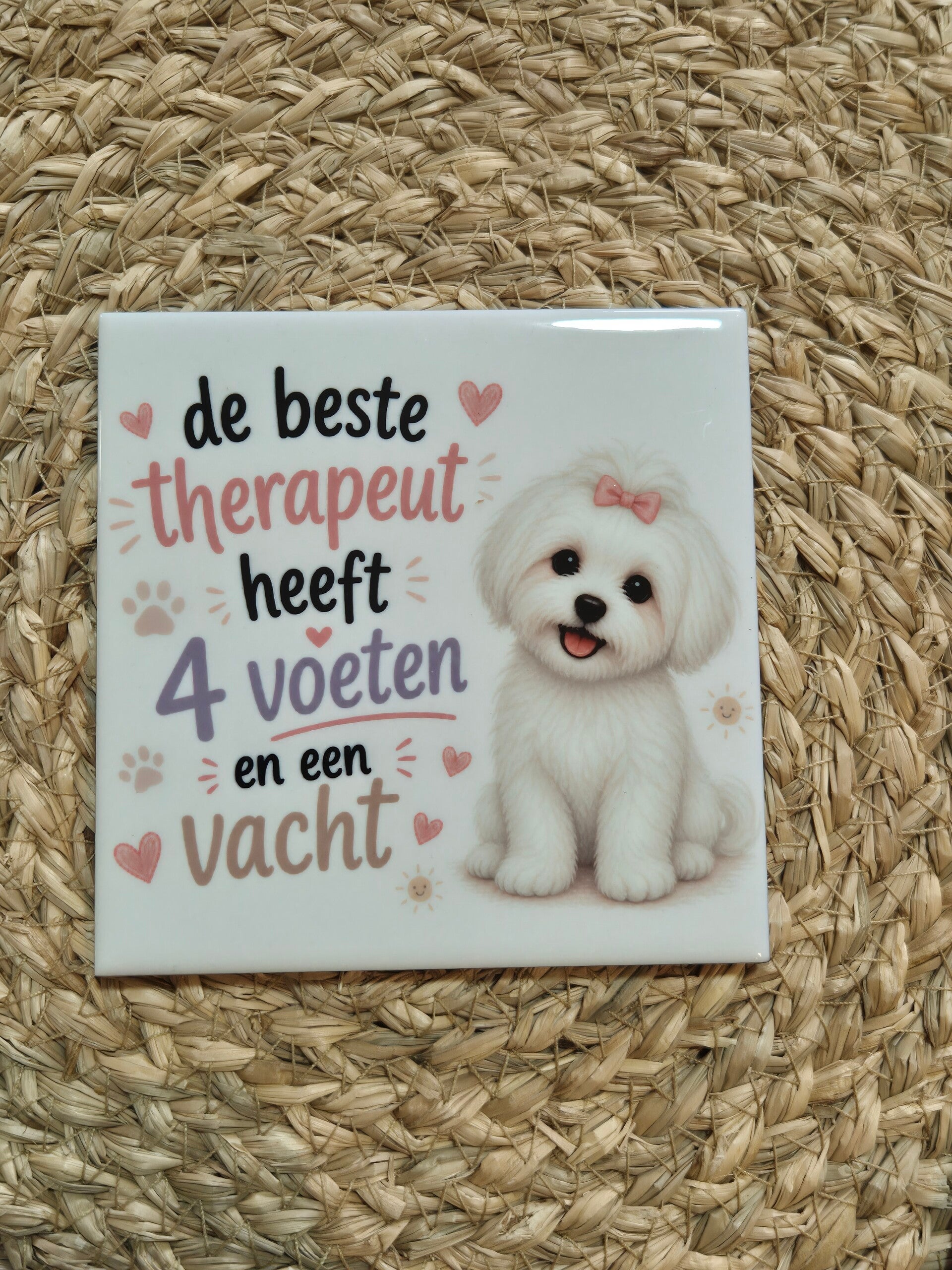 Tegel | Beste therapeut heeft 4 voeten en een vacht