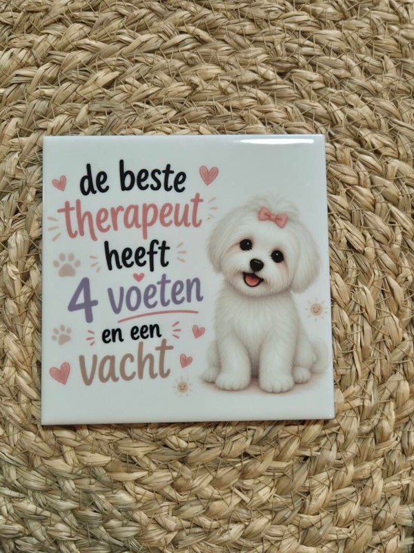Tegel | Beste therapeut heeft 4 voeten en een vacht