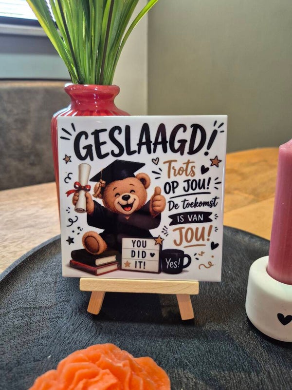 Tegel | Geslaagd beertje