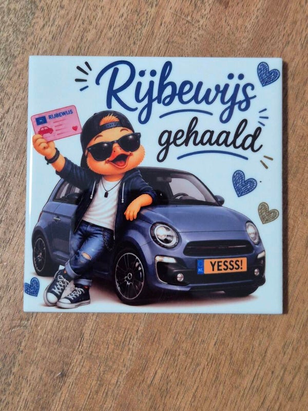 Tegel | Rijbewijs gehaald man eendje