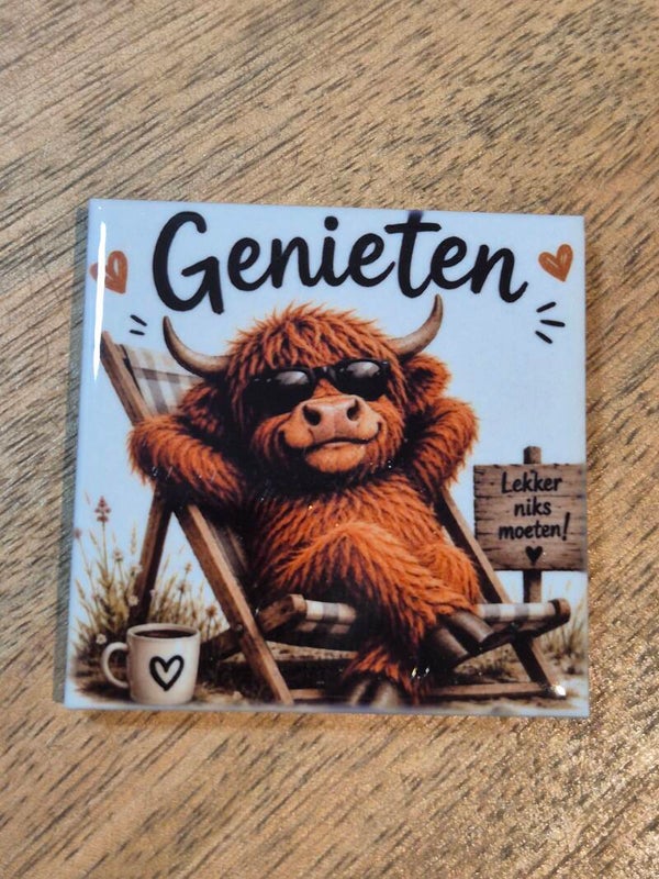 Magneet tegel | hooglander genieten
