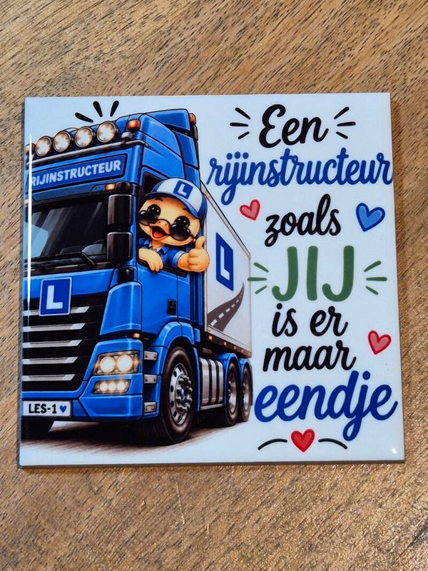 Tegel | Een rijinstructeur zoals jij is er maar eendje