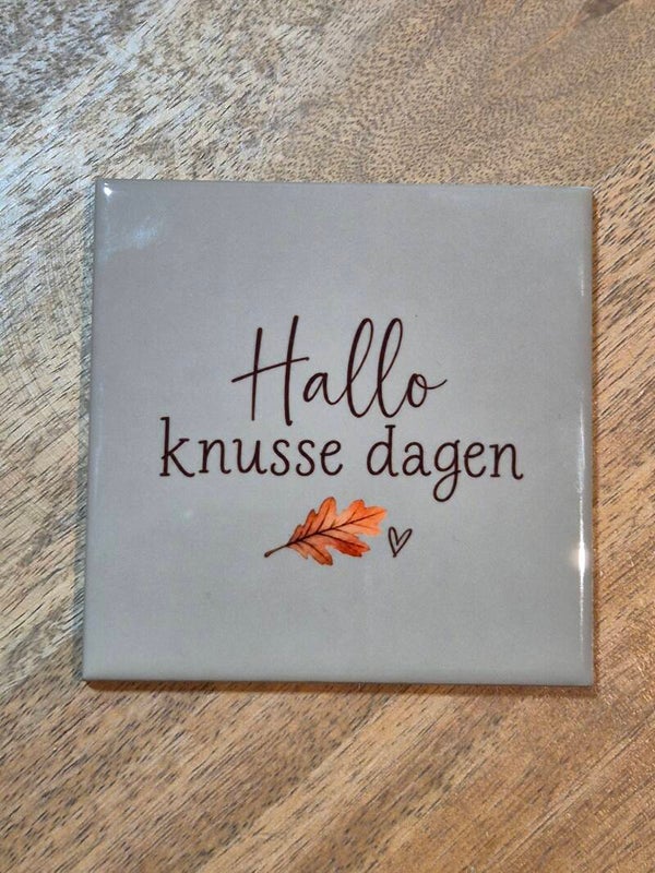 Tegel | Hallo knusse dagen