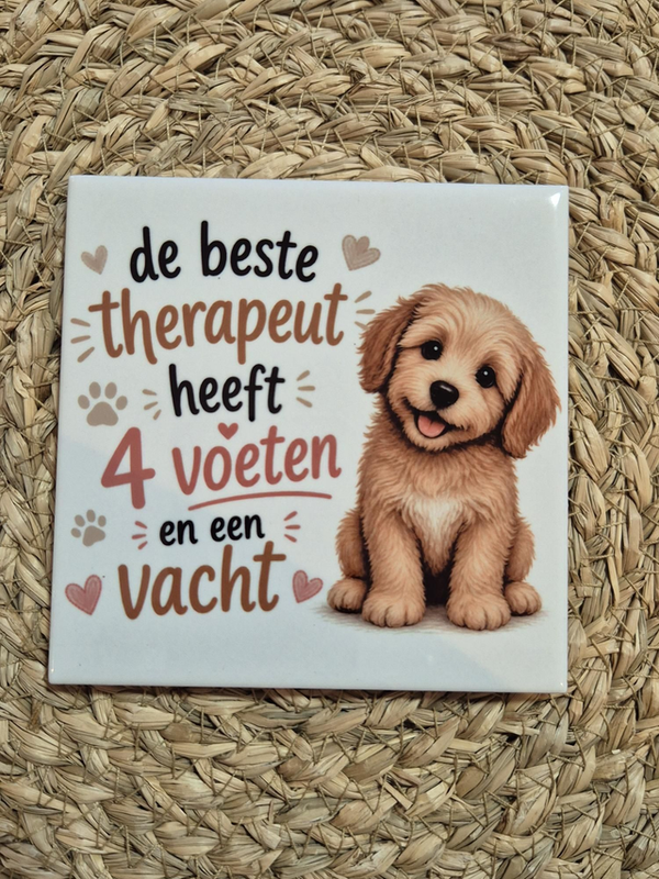 Tegel | De beste therapeut heeft 4 voeten en een vacht