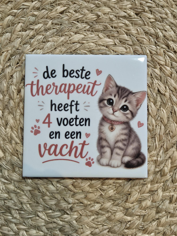 Tegel | De beste therapeut heeft 4 voeten en een vacht poesje
