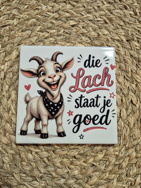 Tegel | Die lach staat je goed
