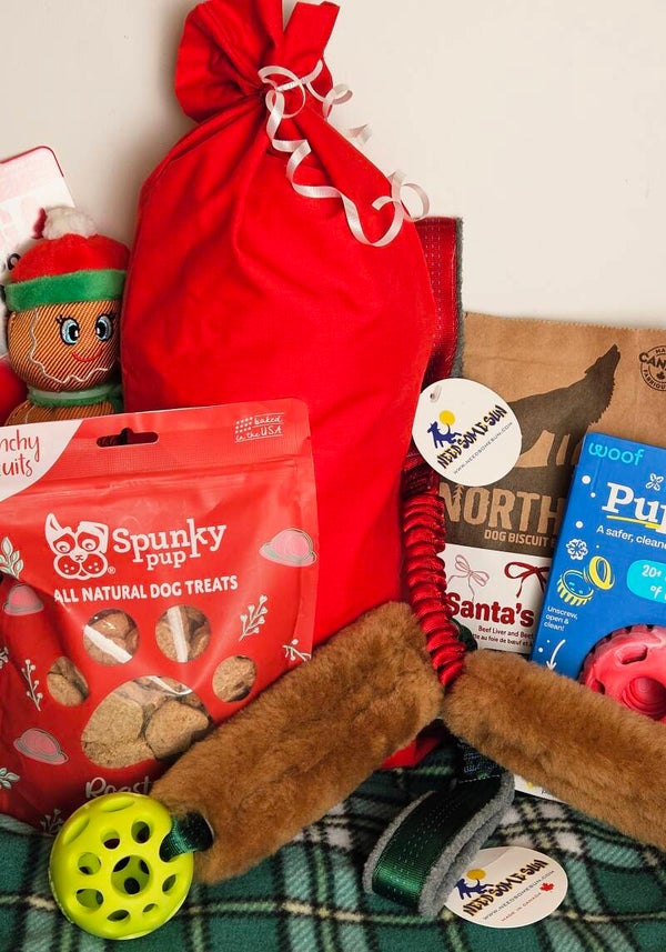 Holiday Surprise Sack